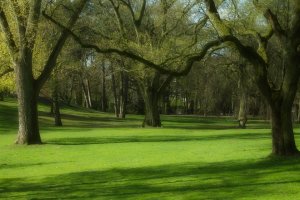 Den Bosch en Nijmegen in finale Groene Stad