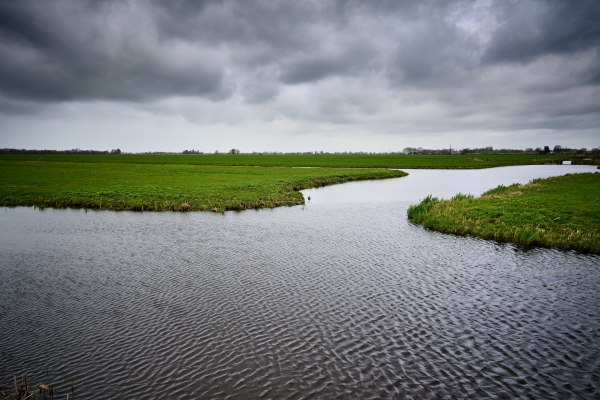 Waterschap naar Raad van State om bouwen in polder