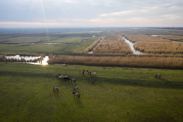 'Natuur lijdt nog steeds onder jarenlange verwaarlozing'