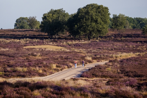 Ede zet gekochte stikstofruimte in voor natuur en bouw