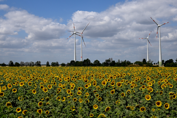 Mogelijk afspraken over 'stikstofvoorrang' groene projecten