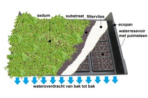 Domijn plaatst unieke groene dakpan 